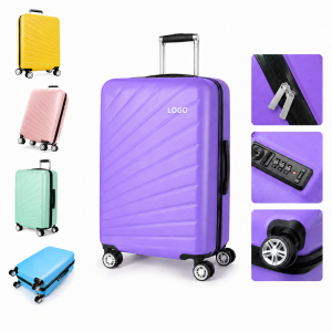 Hard Shell 20-Inch Spinner Suitcase with Telescopic Handle